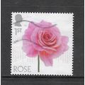 2023 Flowers - rose - used