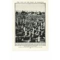 City Of The Dead, Damascus, Syria, Book Illustr...