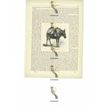 Armenian Baggage Animal, Book Illustration (Pri...