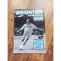 1995/96 League Cup 1st Round 2nd Leg - Brighton...