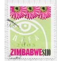 ZIMBABWE 2003 HARARE ARTS FESTIVAL INTERNATIONA...