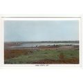 Paible North Uist Postcard RP Outer Hebrides Sc...
