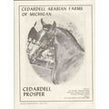 cedardell arabian farms michigan 1972 prosper s...