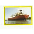 Viken Lakers MV FEDERAL FUJI Postcard by Jack West