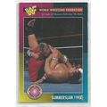 WORLD WRESTLING FEDERATION trading card # 11 SU...