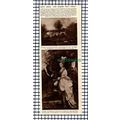 X1473) The Robert Witt Fund Gifts - 1952 Cutting