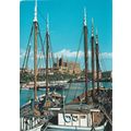Mallorca Palma Catedral Spain Postcard used VGC