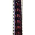 VAMPIRES. Pk MTP - C056D . 1 STRIP OF 5 - 35MM ...