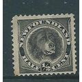 Newfoundland stamps sg59 sg 59 newfoundland dog...