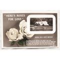 1912 Greetings postcard - Happy Birthday Roses ...