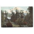 The Terrace Gardens Richmond Postcard Surrey Ha...