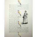 Cook, Berlin, Germany, Vogel, Book Illustration...