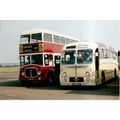 Colour Photograph of Wallace Arnold Tours Ltd. ...