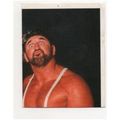 Merlin WWF 1990 World Wrestling Federation stic...