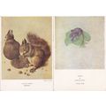 Durer Squirrels Violets 2x Vintage Medici Socie...