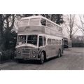 Black & White Photo of Premier Travel Ltd. - DC...