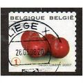 BEL 2007 (52c)(S/A) 'FRUIT- CHERRIES' FINE USED...