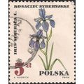 POLAND, FLOWERS, Siberian Iris, white 1967, 5 Zl