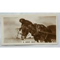 1931 De Reszke Real Photos 2nd series No. 18 Go...