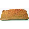Golden Moss Agate Natural Gemstone Slab Lapidar...