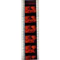 Bram Stokers Dracula. Pk GEB - A012l . 1 STRIP ...