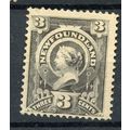 Newfoundland QV 1890 sg55 - MH