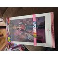 Barbie Nascar 24