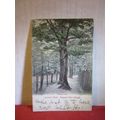 LOVER'S WALK, BOGGART HOLE CLOUGH, MANCHESTER u...