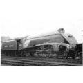 60024 A4 'KINGFISHER' @ HAYMARKET 1952 (6)