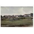Danbury Common Essex Postcard 11515