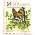 NEW ZEALAND, BUTTERFLY, Forest Ringlet, yellow ...