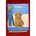 Poodle Kennel Club Books 2004 Breeder’s Best Do...