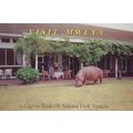 Hippo By Restaurant Table at Queen Elizabeth Na...