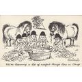 Norman Thelwell Pony Camp Cleaning Comic Postcard