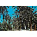 Malaga Paseo del Parque Spain postcard posted 1...