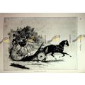 Crinoline 1862 (Dangers Of Fashion), Book Illus...