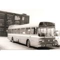 Black & White Photograph of B.& M.M.O. Co. Ltd....