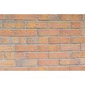 3850 STEETLEY ANTIQUE AMBERSHAMS 65mm FACING BR...