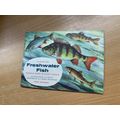 VINTAGE BROOKE BOND FRESHWATER FISH ALBUM BOOK ...