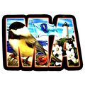 Massachusetts The Bay State Artwood Initial Fri...