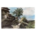 FONTAINEBLEAU, FRANCE unused vintage postcard #