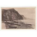 The Cliff's Sidmouth Postcard Devon 105