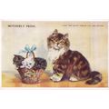 Tabby & White Persian Kitten Cat Motherly Pride...