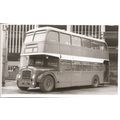 Black & White Photograph of Thames Valley Tract...