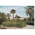 Menfi Villa Comunale Italy Postcard used crease