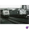 Railway Photo BR Class 40 243 BESCOT SHED Diese...