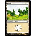 Magic the Gathering - Lorwyn - #284/301 - Plains