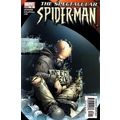 Spectacular Spider-Man (Vol 2) # 022 NM MODERN ...