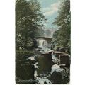 SHUREY'S POSTCARD JESMOND DENE NEWCASTLE 1911 -...