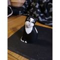 Ornamental Cat